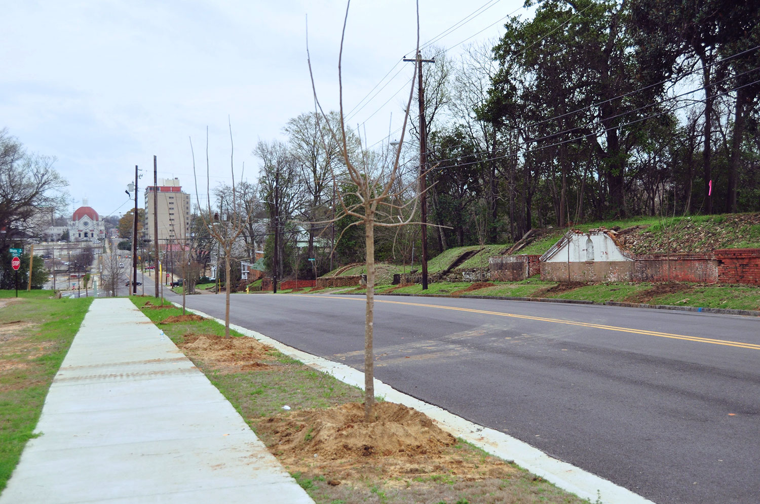 Five Points Tree Planting - March 11, 2015