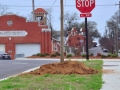 Five Points Tree Planting - March 11, 2015